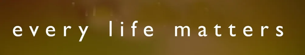 Islia/三三的沙龍