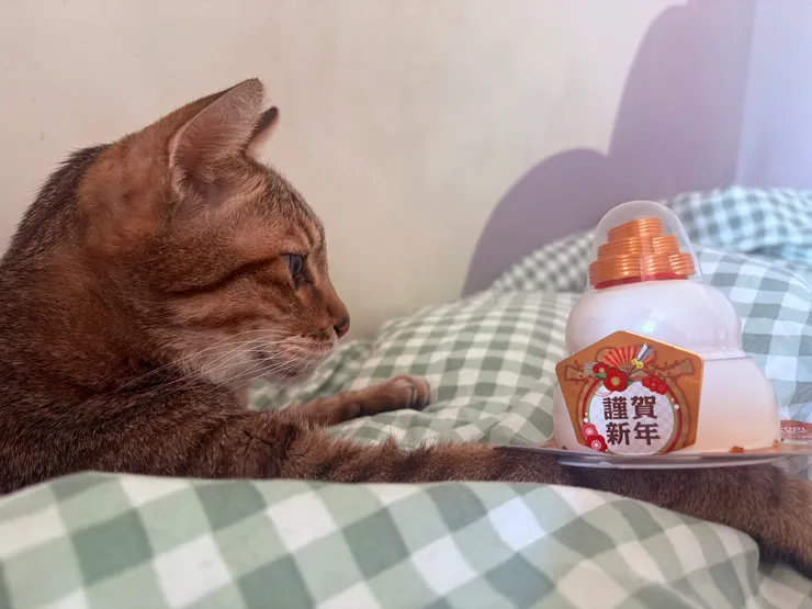 造型年糕可愛但好貴（內裝2小塊年糕）