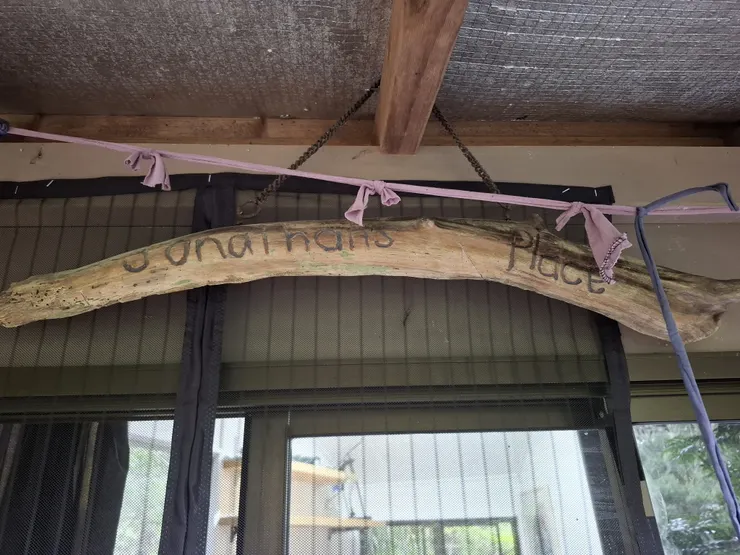 二十多年前曾是為兒子建造的遊戲屋，在閒置多年後重新裝修，充滿了溫度與回憶。