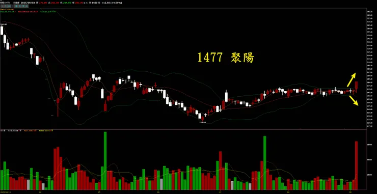 2025/9/3 聚陽主力買開布林