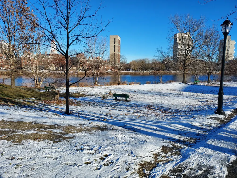 哈佛學記：鄭紹鈺的寫作空間