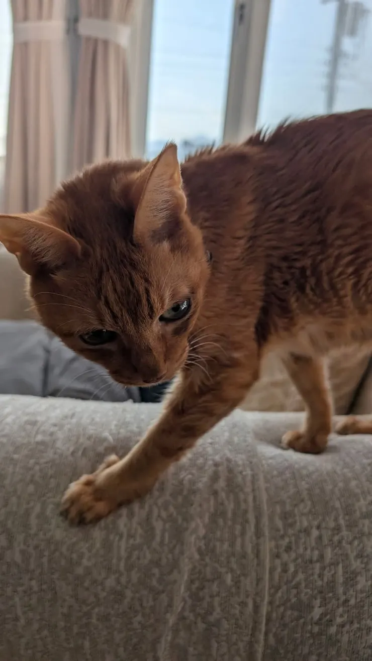 論行銷與話題製造