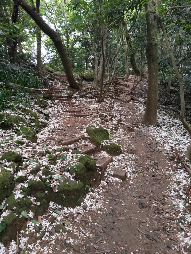 圖片來源：自攝