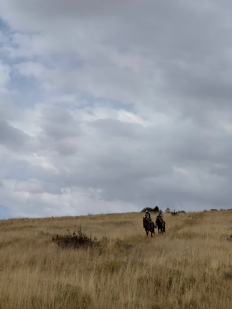 哈薩克-阿克蘇國家公園Aksu-Zhabagly Nature Reserve 騎馬