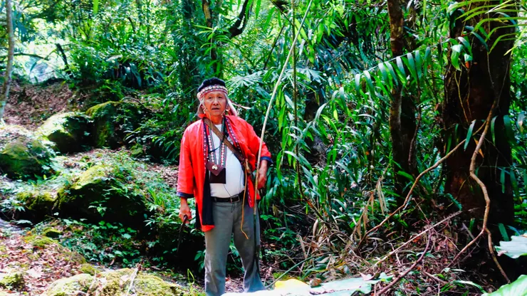 黃藤~建造家屋、庫巴集會所等等都會使用它來固定!刀子出鞘囉!