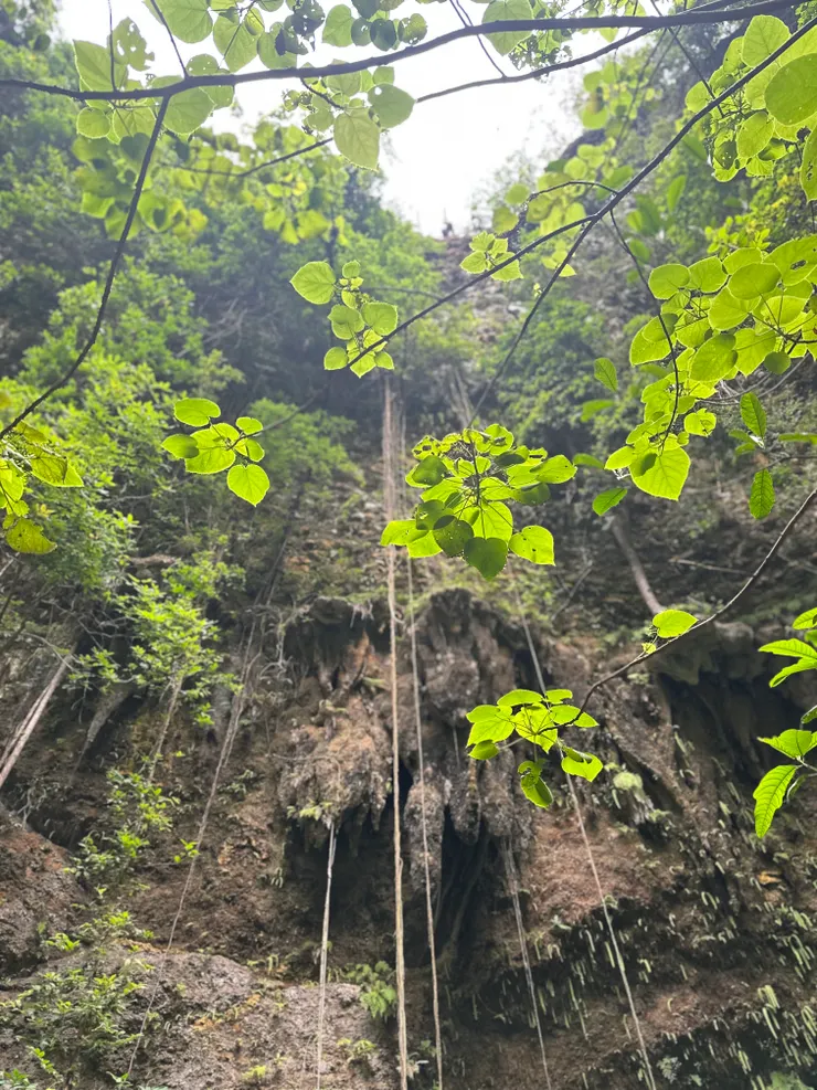 深度有40公尺左右