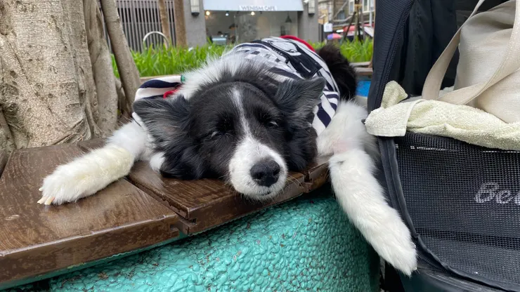 他像是在公園打盹的老奶奶睡了好久