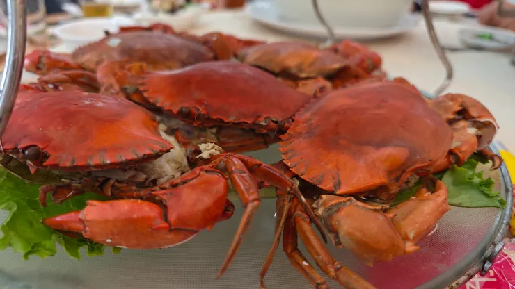 紅蟳我的最愛，但是不敢多拿