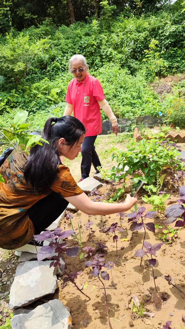 十二寮慢漫療癒香草園區