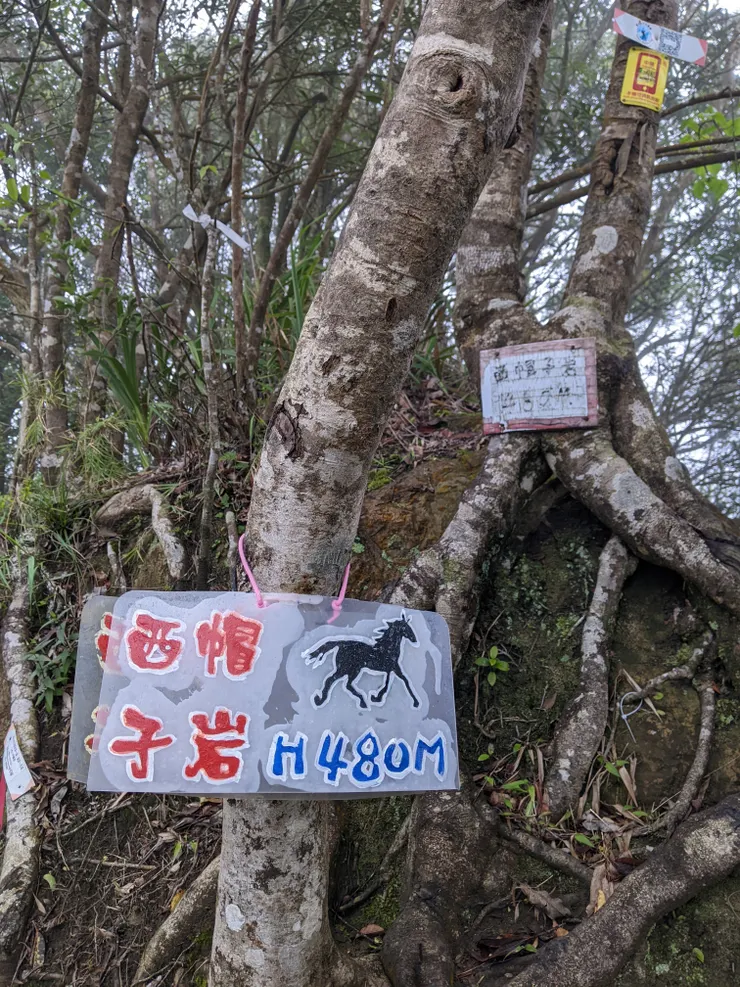 480m西帽子岩，是因為像帽子嗎？