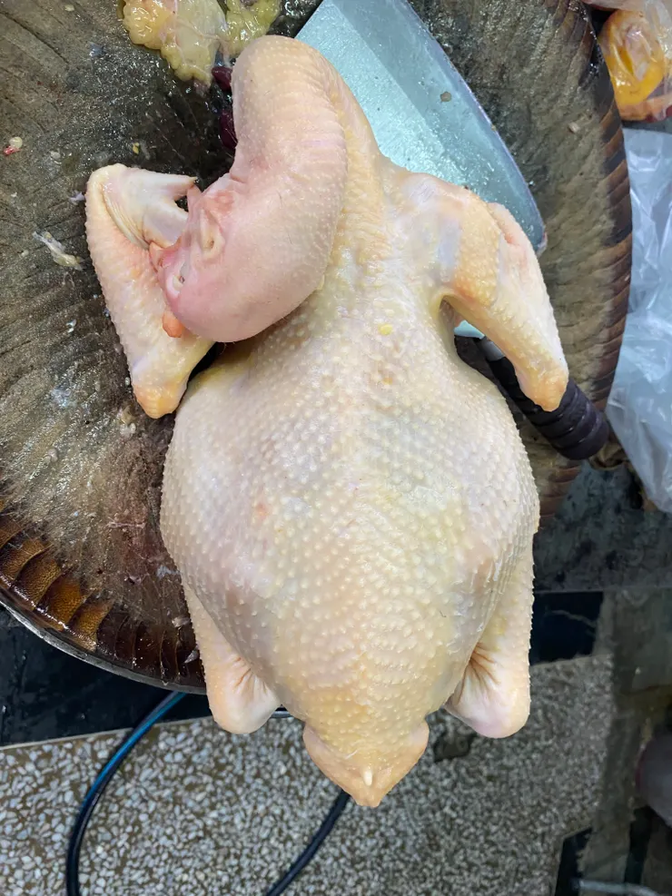 我買的大母雞