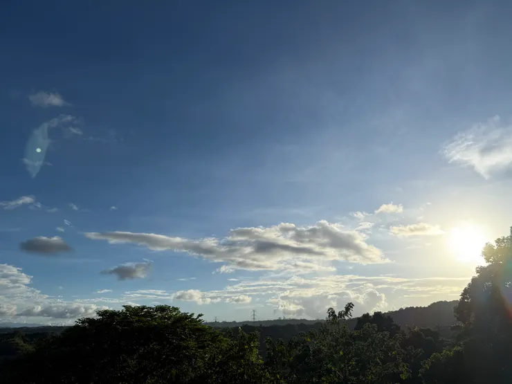 2025/09/21 回家路上的邊坡風景