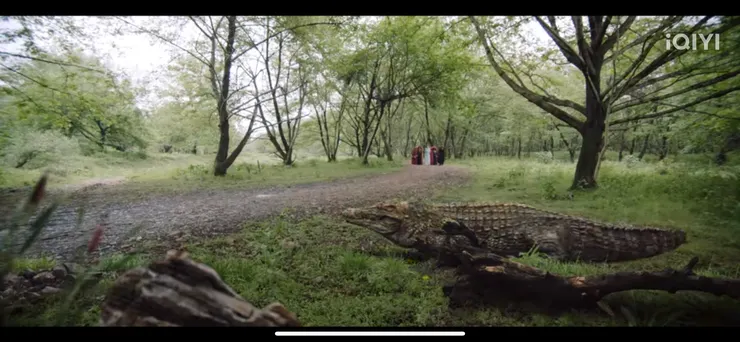 圖片取自《唐朝詭事錄》