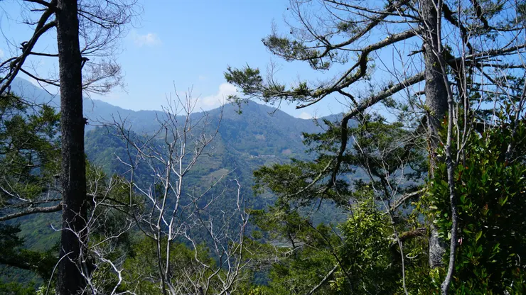 ~橫看成嶺側成峰~