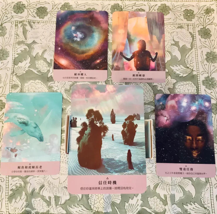 星際種子牌卡