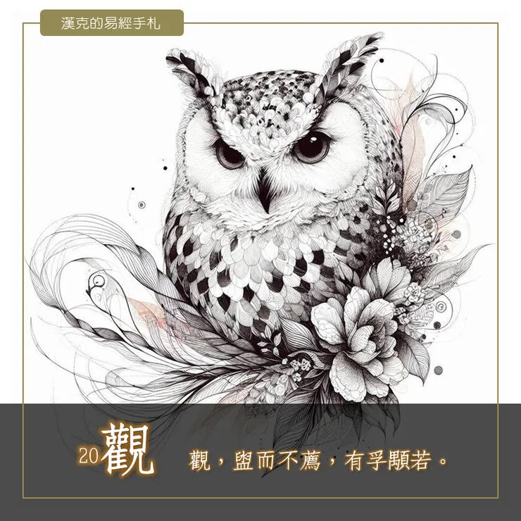 觀字（＝大眼鳥＋觀鳥人）像枝頭上的貓頭鷹與人互相觀察研究，代表了知識、博學與遠見。 