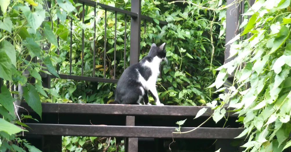 有趣內容集散地