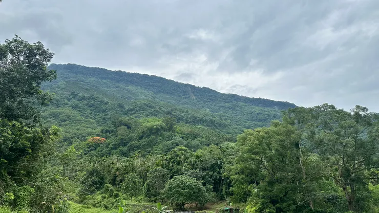 576的眺望，層層疊疊的山巒與密林。