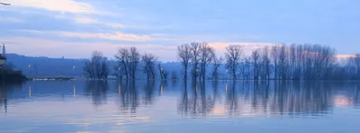 客語線上教學與網路資源