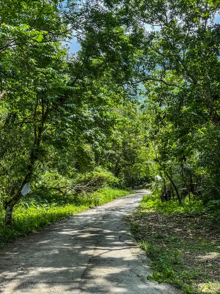 往砂婆噹溪的綠色的部份