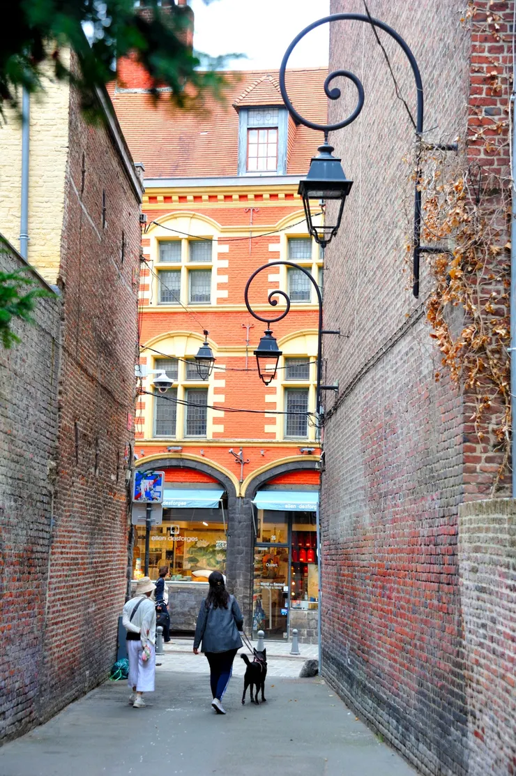 【穿過窄巷來到古老的鑄幣街 (Rue de la Monnaie)，伯爵夫人臨終關懷博物館(Musée de l'Hospice Comtesse在對面建築內。】