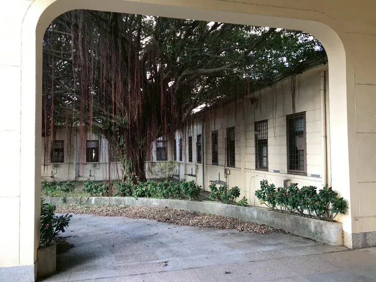 主建築群外露的梁柱，搭配長條形窗戶（2021年。筆者友人提供）