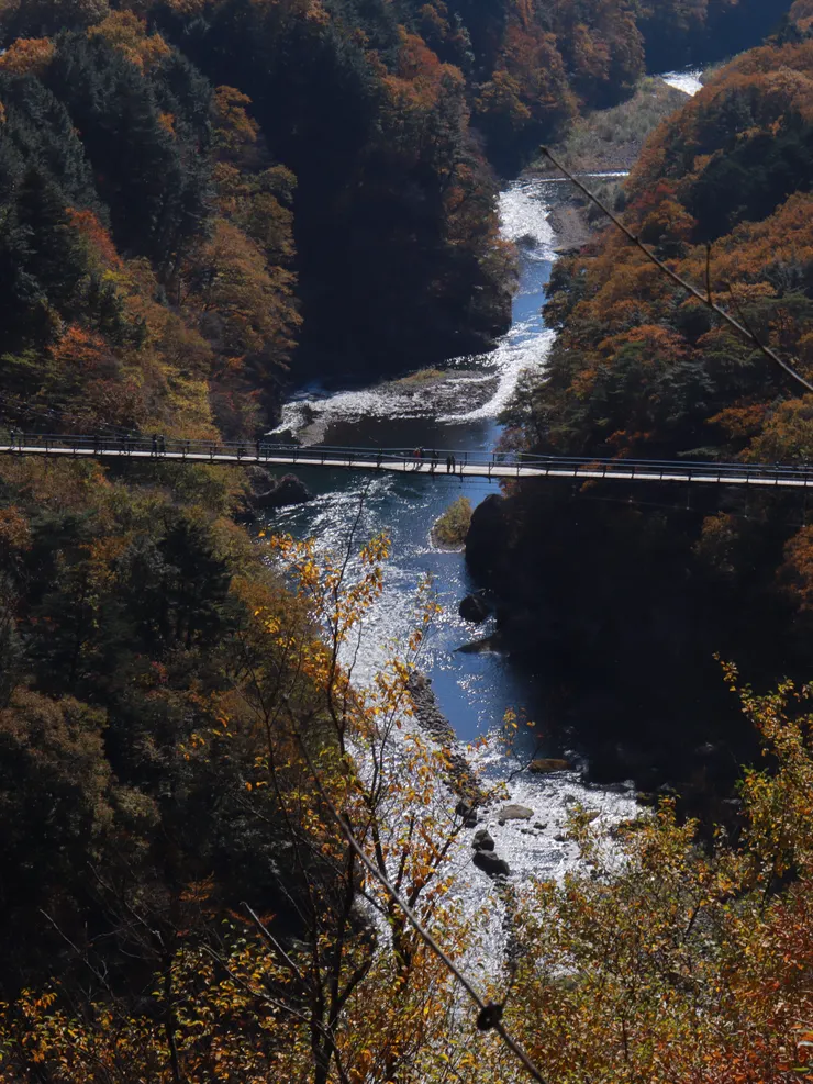 爬上去完全不後悔的景色