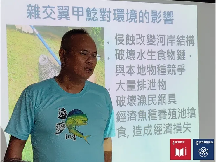 物種間的雜交也是外來種對原生生態的衝擊之一，長期會導致族群「基因多樣性」的降劣，而野翼甲鯰與豹紋翼甲鯰的雜交成的「雜交翼甲鯰」正就是水族界裡俗稱清道夫的....琵琶鼠魚，也是野溪棲地裡讓人頭大的外來魚類