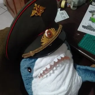 卡累利阿下野者-帕夫洛維奇 的沙龍