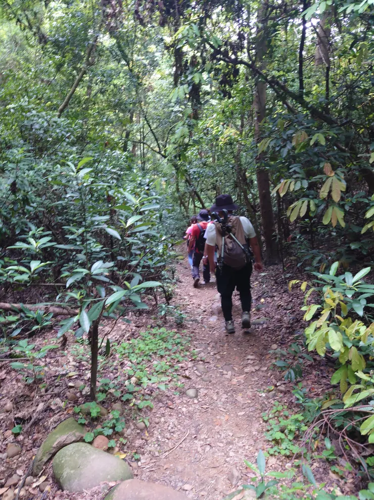 下山路途一樣又濕又悶又熱