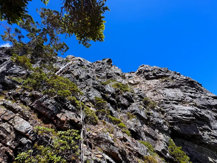 仰望素密逹斷崖及鯊魚劍