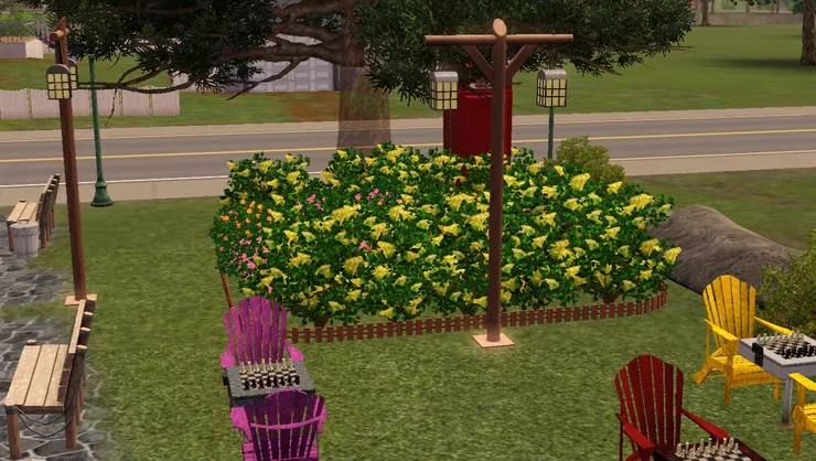 下棋區有這一片花海相伴，令人心曠神怡。