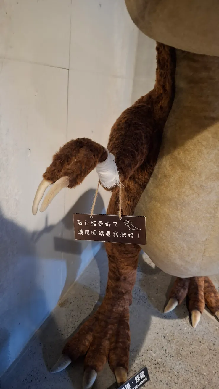 恐龍的手骨折了，拍照時不要碰觸模型喔！