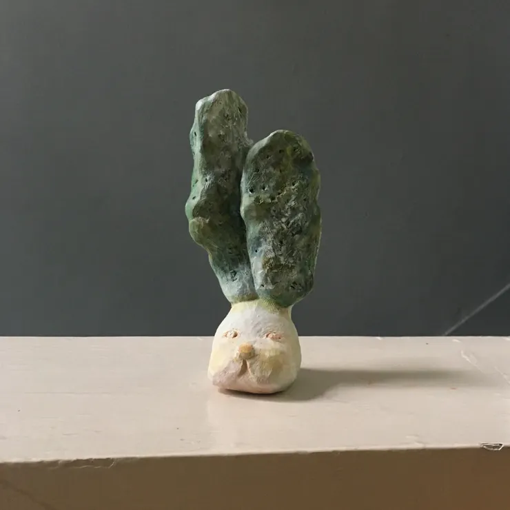 《仙人掌兔》本尊