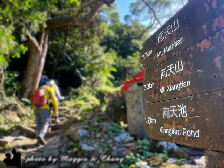 清晨的登山口,夥伴們背著背包、笑著踏上階梯。 陽光從林間灑下,照在的石階上,大家的步伐穩健而充滿期待, 旅程才剛開始,就能感受到那股準備迎向山的熱血與興奮。
