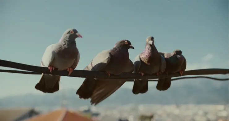 《重啟人生》劇照，截圖自公視+影音平台（官網已下架）