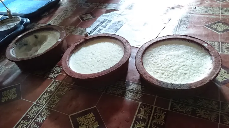 特殊的水牛優格