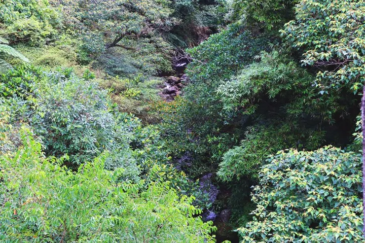 舊水壩遺址眺望牡丹溪