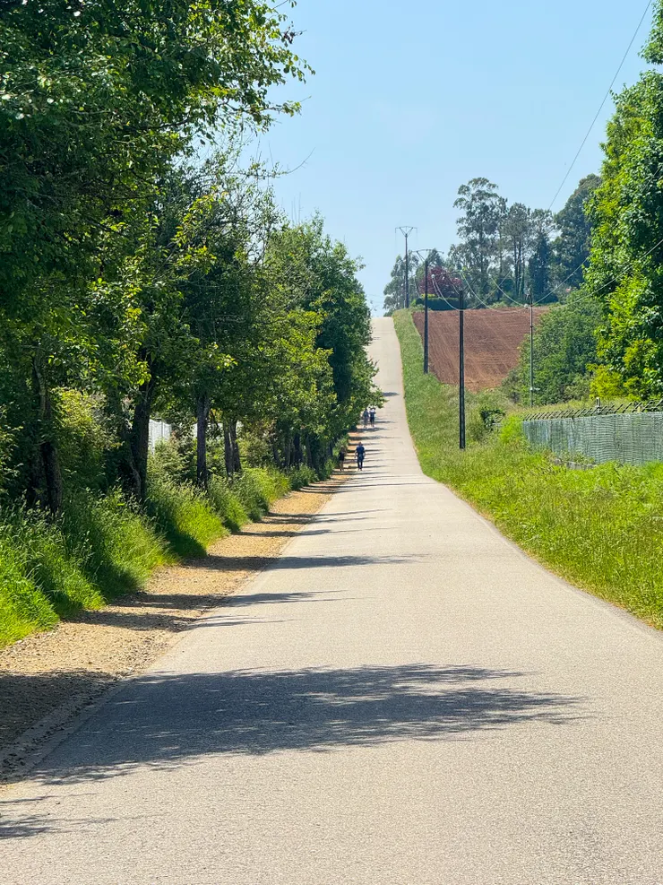 PM 3:52 還有上坡！！人家腳底好痛好累～～🫣