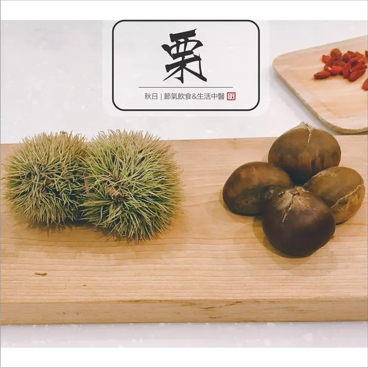 本土台灣嘉義生長的板栗