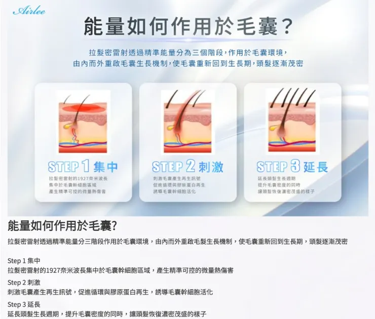 引用自愛麗爾官方網站