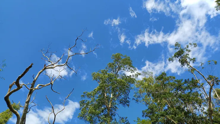上天.上天/自行拍攝