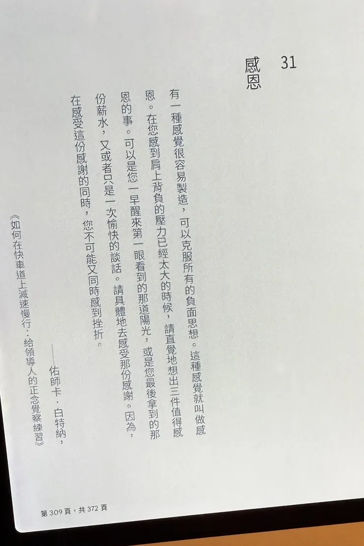 正念殺機小說