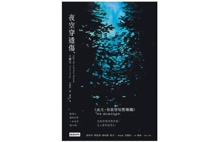 王鷗行《夜空穿透傷》