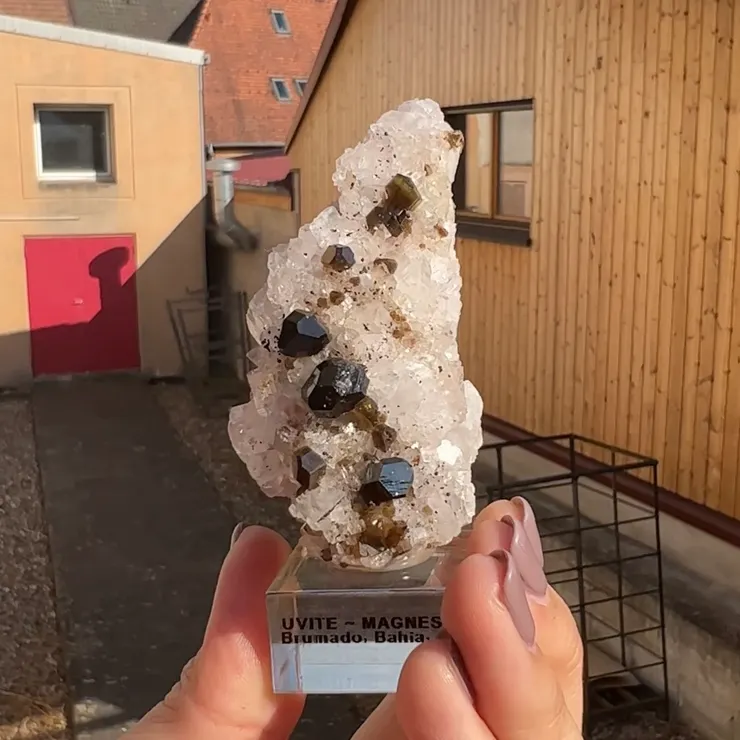 個人的偏愛,巴西鈣鎂電氣石共生菱鎂礦