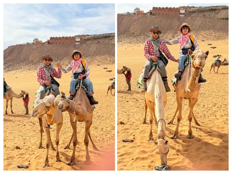 互動一會兒熱一會兒冷