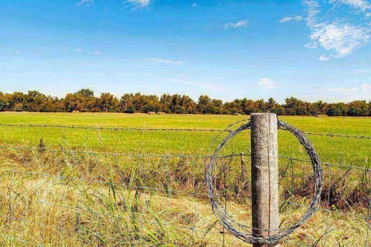 特定農業區農牧用地可以做什麼