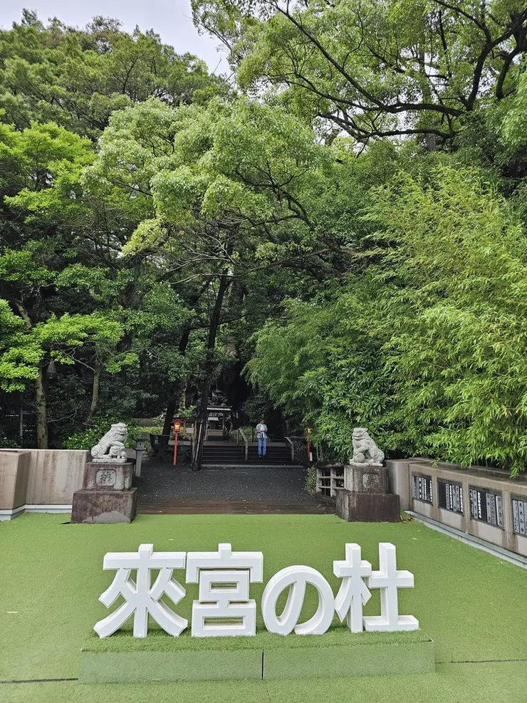 拍照打卡點，旁邊還有可以固定相機的架子