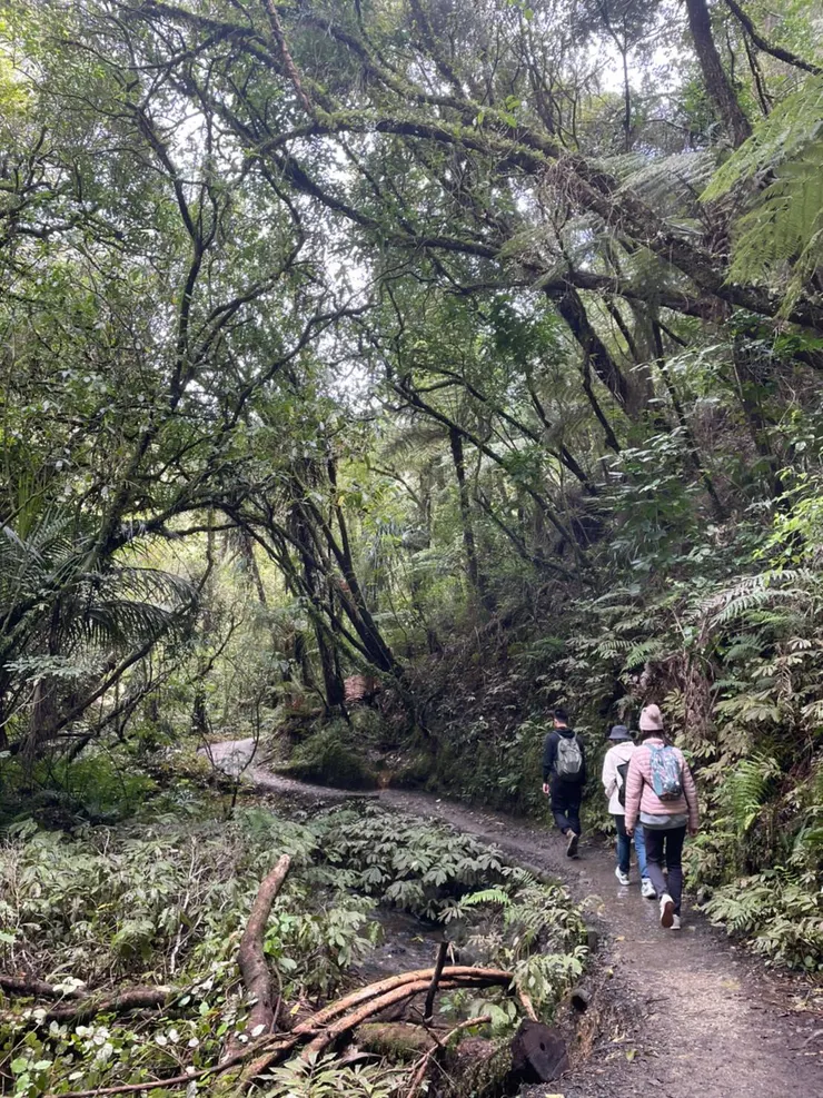 一起走步道的我們