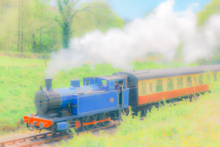 行駛中的萊文谷蒸汽火車